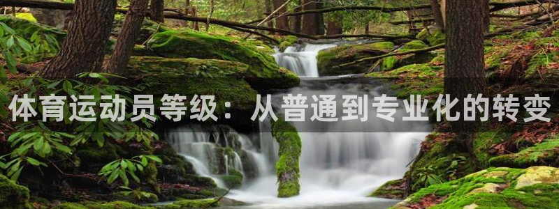 MK体育官方正版app神州