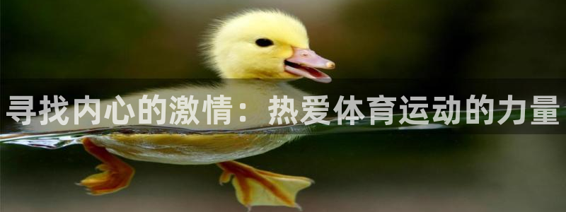 MK体育官网下载招商电话号码是多少号