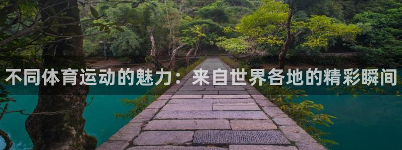 MK体育官方正版app娱乐下载