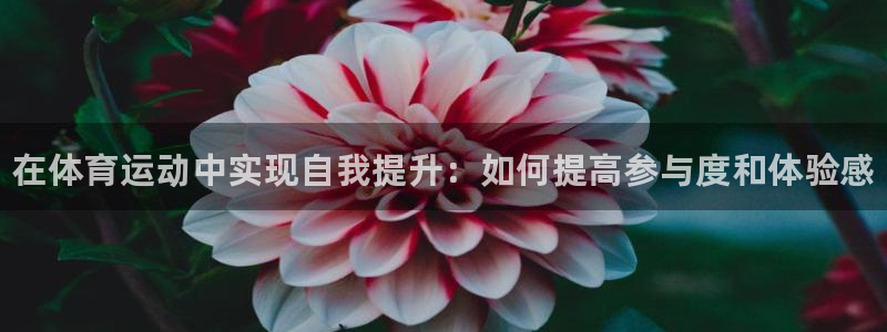MK体育官方集团官网：在体育运动中实现自我提升：如何提高参与