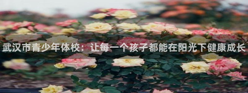 MK体育官网下载招商电话是多少啊：武汉市青少年体校：让每一个