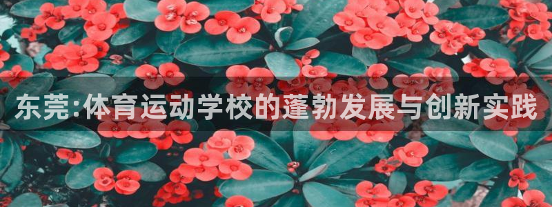 MK体育官方正版app官方