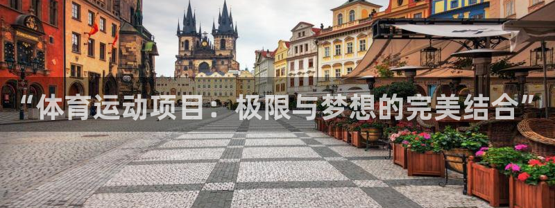 MK体育官方正版app新能源