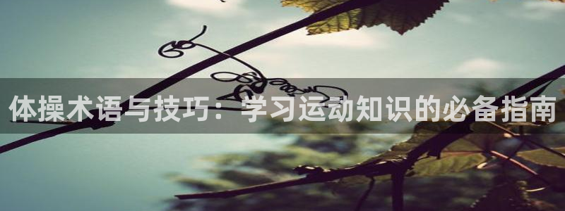 MK体育官网下载注册：体操术语与技巧：学习运动知识的必备指南