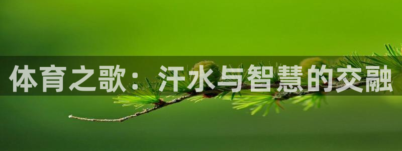 MK体育官方正版app集团官网首页网址：体育之歌：汗水与智慧