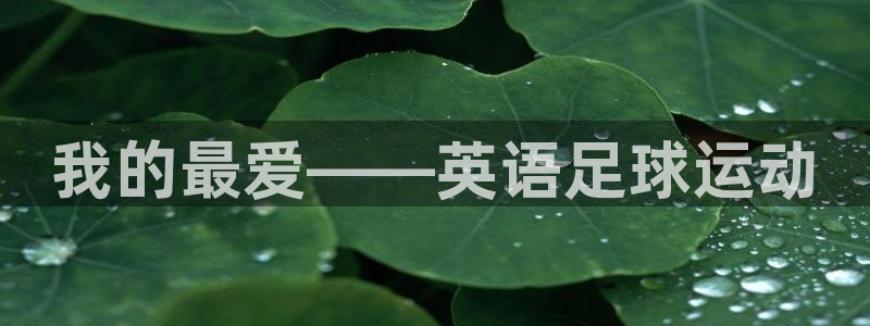 MK体育官网下载招商电话号码查询是多少：我的最爱——