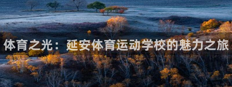 海南MK体育官网下载：体育之光：延安体育运动学校的魅