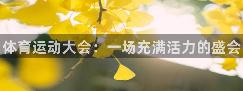 MK体育官网下载招商电话地址：体育运动大会：一场充满