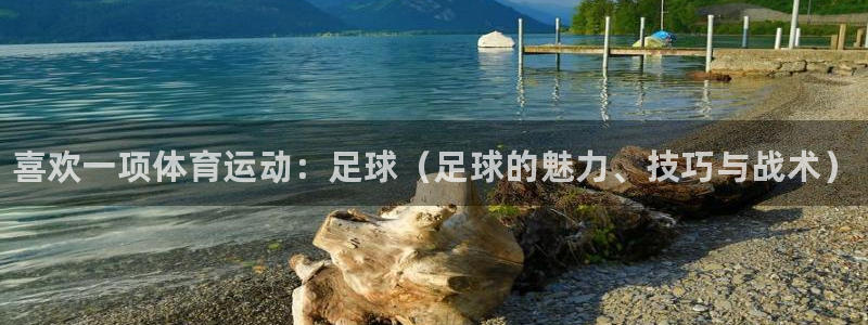 MK体育官网下载招商电话：喜欢一项体育运动：足球（足