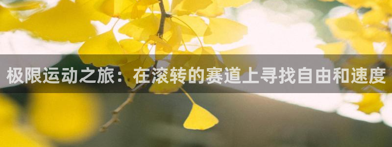 MK体育官网下载招商电话地址是多少：极限运动之旅：在