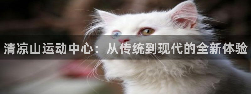 MK体育官方正版app集团简介：清凉山运动中心：从传