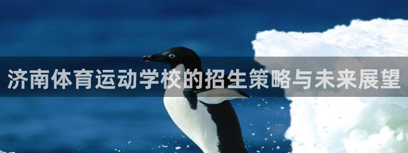 MK体育官方正版app娱乐40996：济南体育运动学