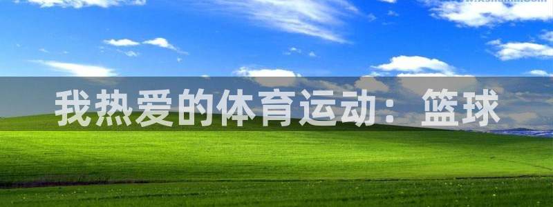 MK体育官方正版app娱乐首页网站大全