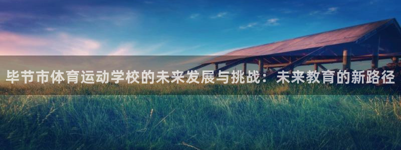 MK体育官方正版app神州