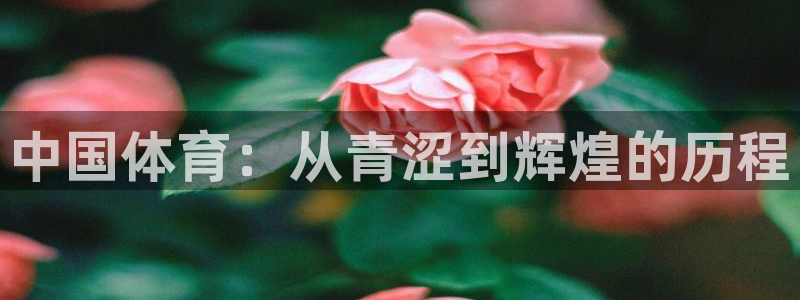 MK体育官网下载官方客服电话