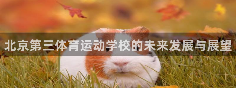 MK体育官网下载招商电话号码是多少号：北京第三体育运动学校的